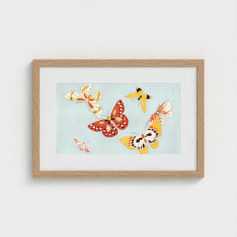 Butterflies - Kamisaka Sekka Cho Senshu Art Print / Canvas Framed Artwork Light Blue Background Colorful Red Sekka’s Vibrant, Japan’s