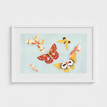 Butterflies - Kamisaka Sekka Cho Senshu Art Print / Canvas Framed Artwork Collection Colorful Illustrated Reds Yellows Sekka’s Vibrant,