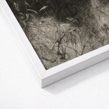 White Framed Black Botanical Print William Baxter Closson, Art, Meadow Stems
