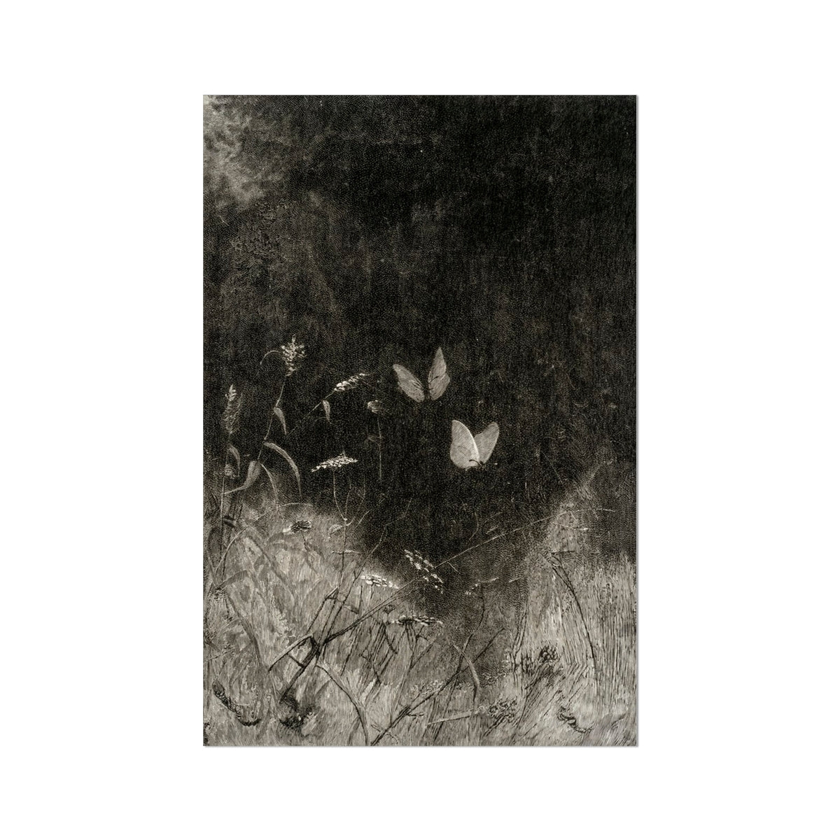 Butterflies - William Baxter Closson Art Print, Two Butterflies Plants Field