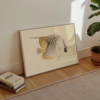 Butterflyfish - Luigi Balugani Ocean Life Art Print / Canvas Framed Artwork White Beige Tropical Fish Luigi Balugani, Balugani Sea Life,