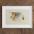 Butterflyfish - Luigi Balugani Ocean Life Art Print - 18’’x12’’ / Unframed