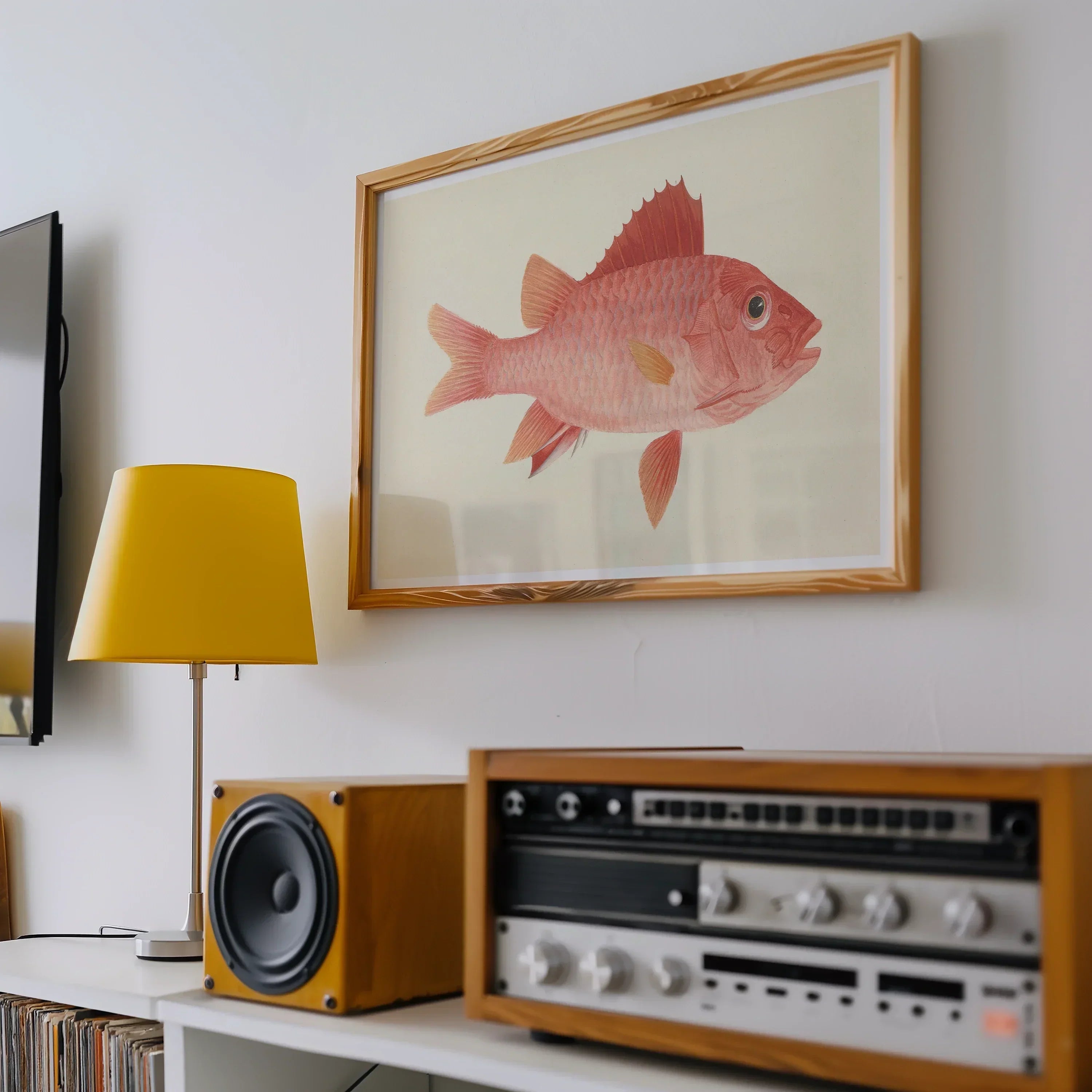 Caribbean Red Snapper Luigi Balugani Sea Life Art Print, 24x16’’ / 61x41cm / Unframed, Framed Watercolor Painting Pink Fish