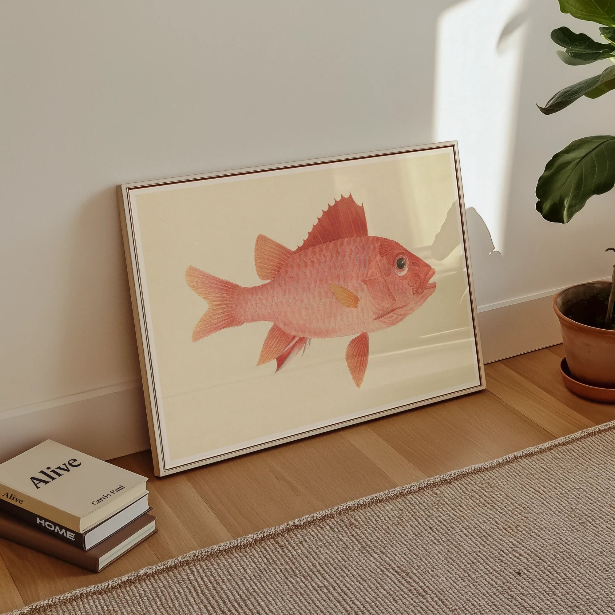 Caribbean Red Snapper - Luigi Balugani Sea Life Art Print, 30x20’’ / 76x51cm / Unframed, Pink Fish Illustration Simple Frame