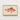 Framed Illustration Vibrant Pink Fish Detailed Scales Orange-tinted Luigi Balugani, Caribbean Red Snapper, Exquisite Fine Art Print