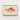 Framed Illustration Vibrant Coral-red Fish Delicate Orange Fins Luigi Balugani, Caribbean Red Snapper, Exquisite Fine Art Print