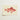Delicately Illustrated Red Fish Printed Cream-colored Cardstock Luigi Balugani, Caribbean Snapper, Exquisite Fine Art Print
