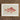 Framed Illustration Pink Fish Detailed Scales Fins Set Luigi Balugani, Caribbean Red Snapper, Exquisite Fine Art Print