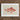 Framed Illustration Pink Fish Detailed Scales Fins Set Luigi Balugani, Caribbean Red Snapper, Exquisite Fine Art Print