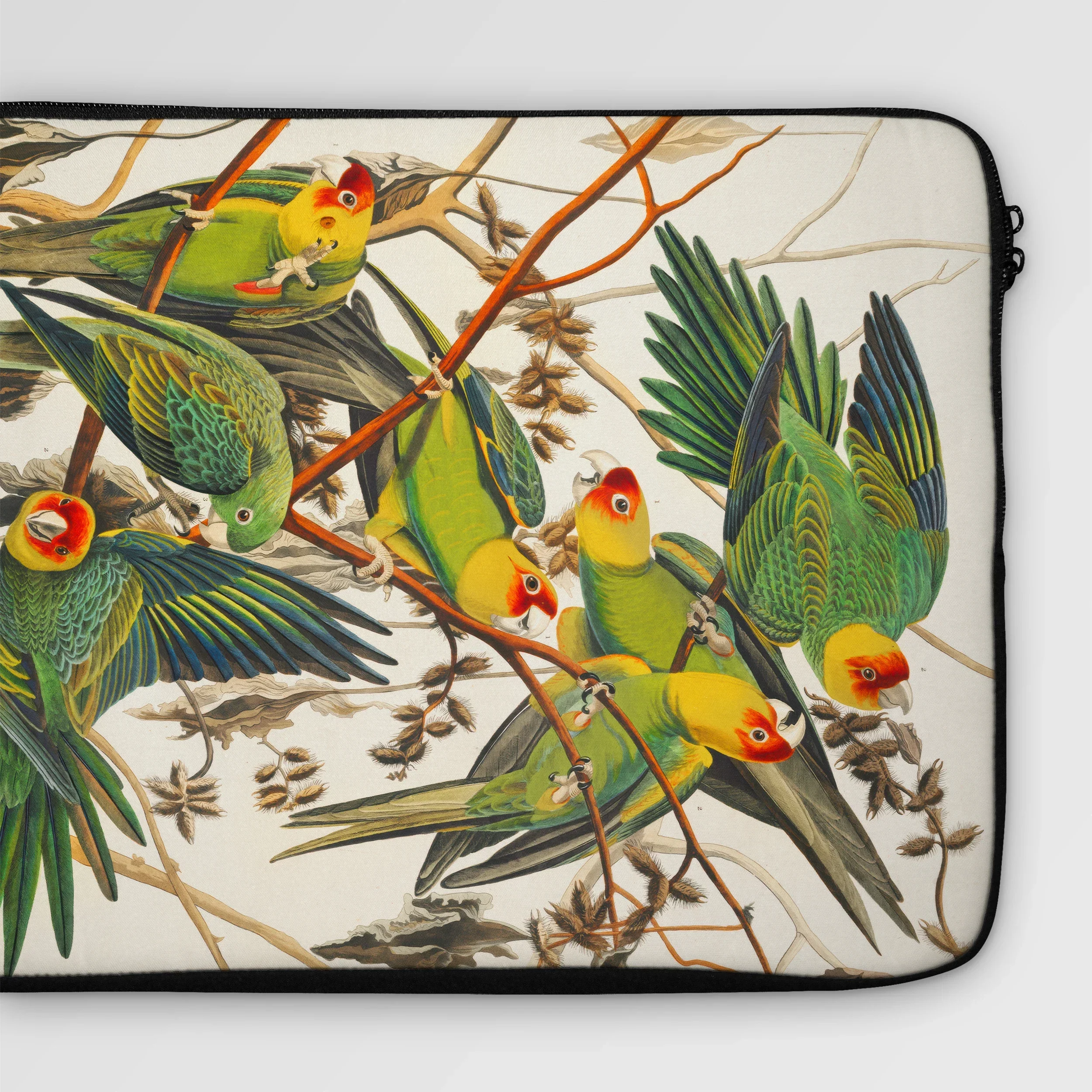 Carolina Parrot - John James Audubon Laptop Sleeve Computer Covers & Skins