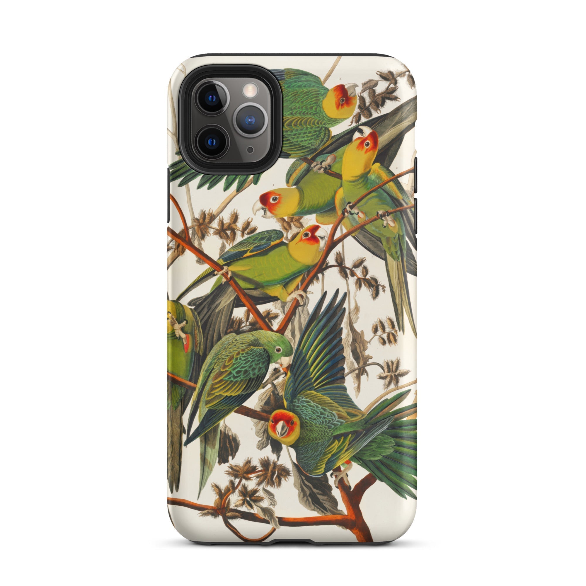 Carolina Parrots John James Audubon Iphone Case, 11 Pro Max / Matte, Parrot Themed Phone Case