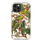 Carolina Parrots - John James Audubon Iphone Case, 12 Pro / Matte, Parrot-themed Phone Case