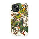 Carolina Parrots - John James Audubon Iphone Case, 13 Mini / Matte, Parrot-themed Phone Case