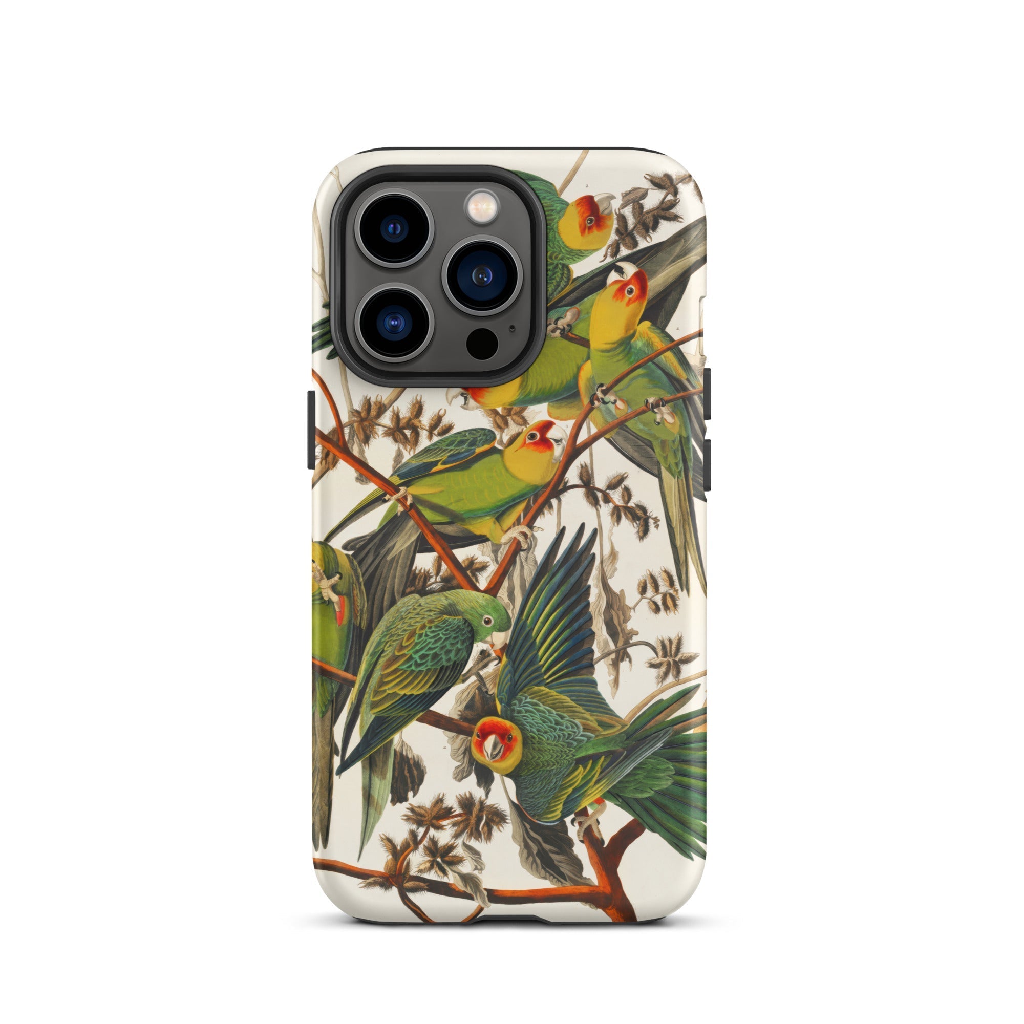 Carolina Parrots John James Audubon Iphone Case, 13 Pro / Matte, Parrot Patterned Phone Case