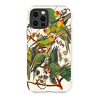 Carolina Parrots - John James Audubon Iphone Case, 13 Pro / Matte, Parrot-themed Phone Case