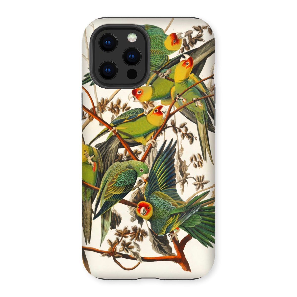 Carolina Parrots - John James Audubon Iphone Case, 13 Pro Max / Matte, Parrot-themed Phone Case