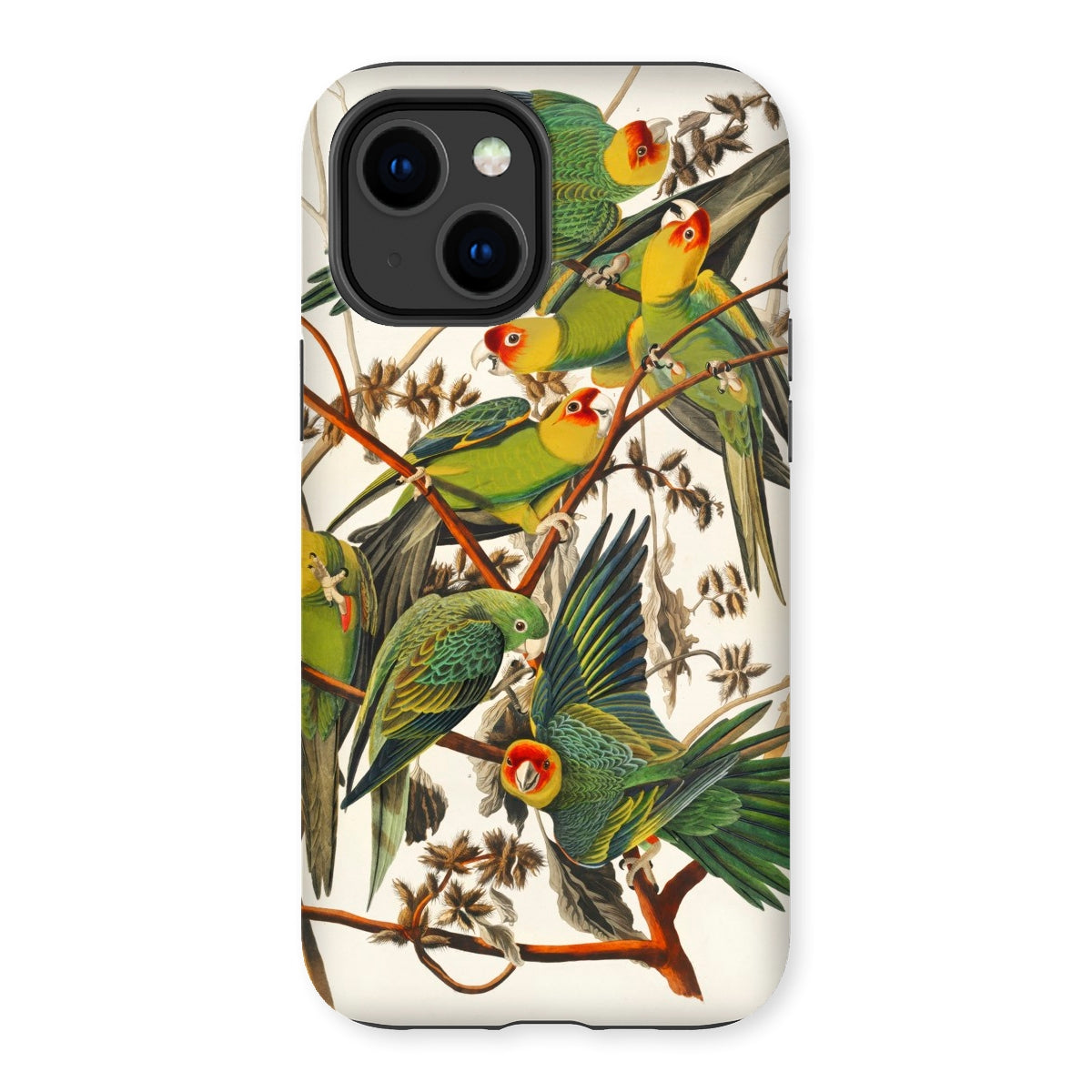 Carolina Parrots - John James Audubon Iphone Case, 14 Plus / Matte, Parrot-themed Phone Case