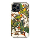 Carolina Parrots - John James Audubon Iphone Case, 14 Pro Max / Matte, Parrot-themed Phone Case
