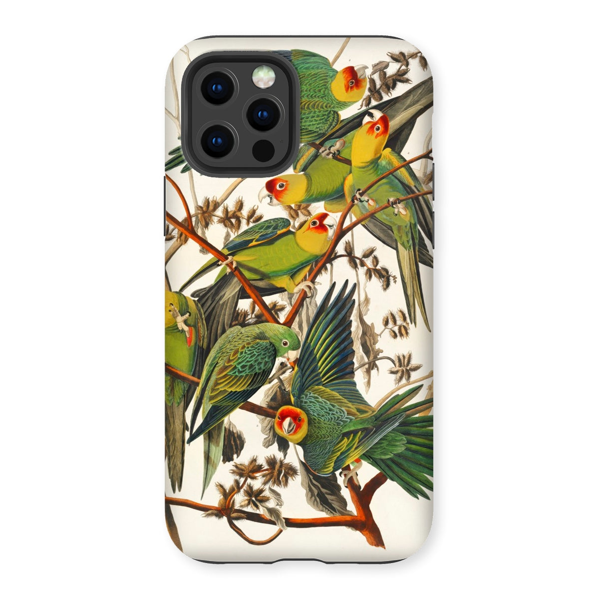 Carolina Parrots - John James Audubon Iphone Case - 12 Pro / Matte