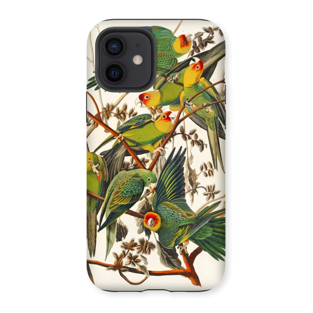 Carolina Parrots - John James Audubon Iphone Case - 12 / Matte