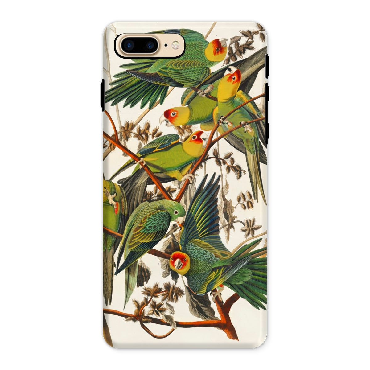 Carolina Parrots - John James Audubon Iphone Case - 8 Plus / Matte