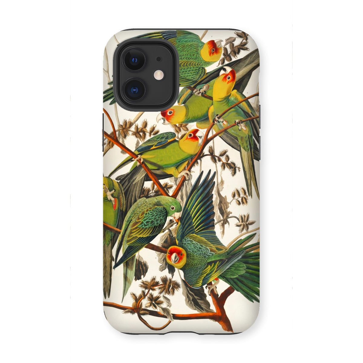 Carolina Parrots - John James Audubon Iphone Case - 12 Mini / Matte