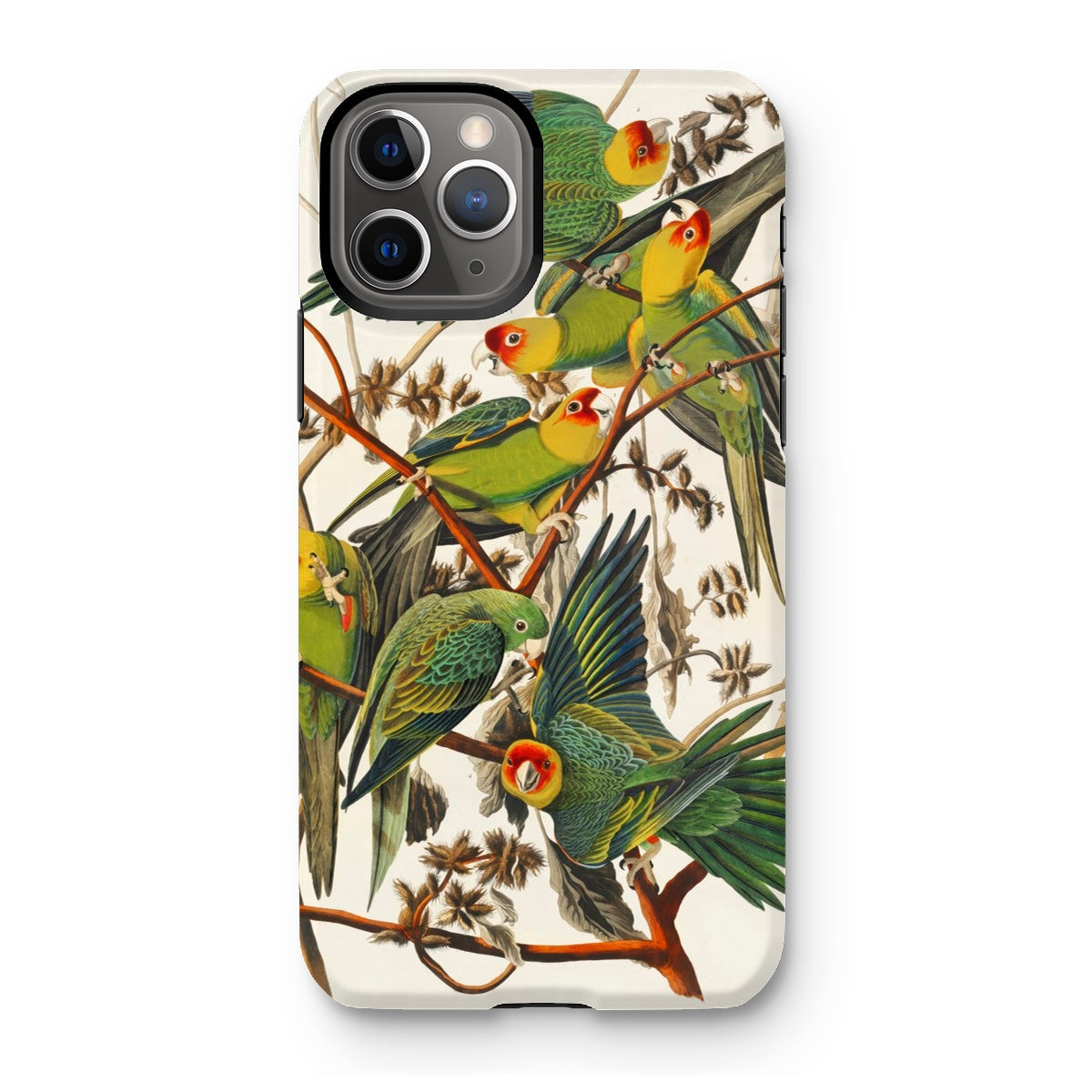 Carolina Parrots - John James Audubon Iphone Case - 11 Pro / Matte