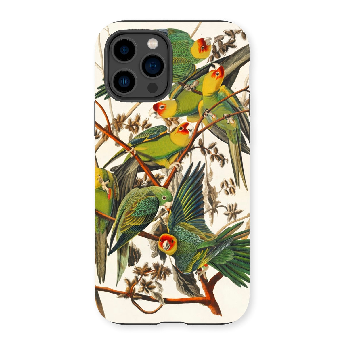 Carolina Parrots - John James Audubon Iphone Case - 14 Pro / Matte