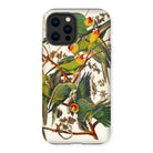 Carolina Parrots - John James Audubon Iphone Case - 12 Pro Max / Matte