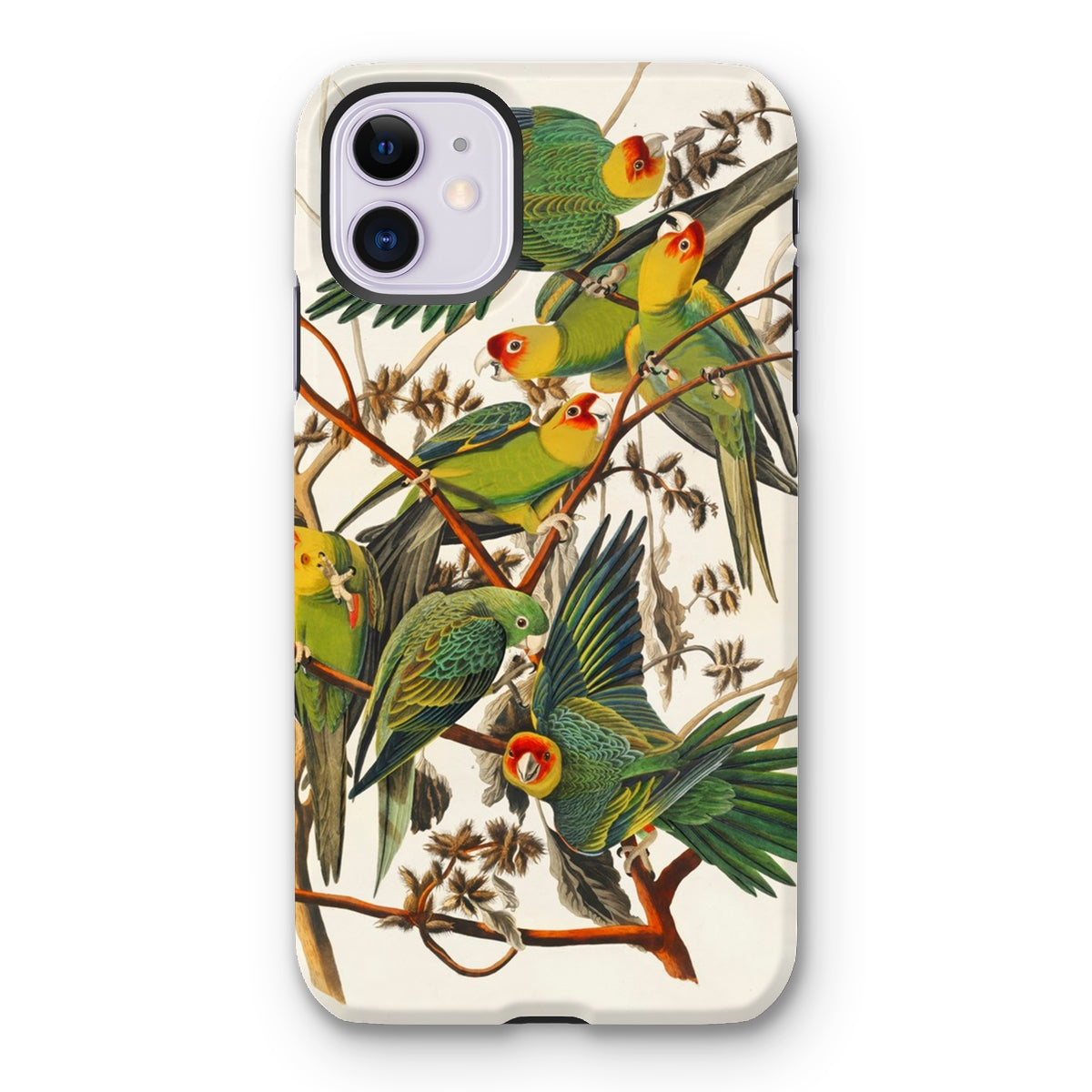 Carolina Parrots - John James Audubon Iphone Case - 11 / Matte