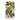 Iphone 8 Plus / Matte Carolina Parrots - John James Audubon Phone Case