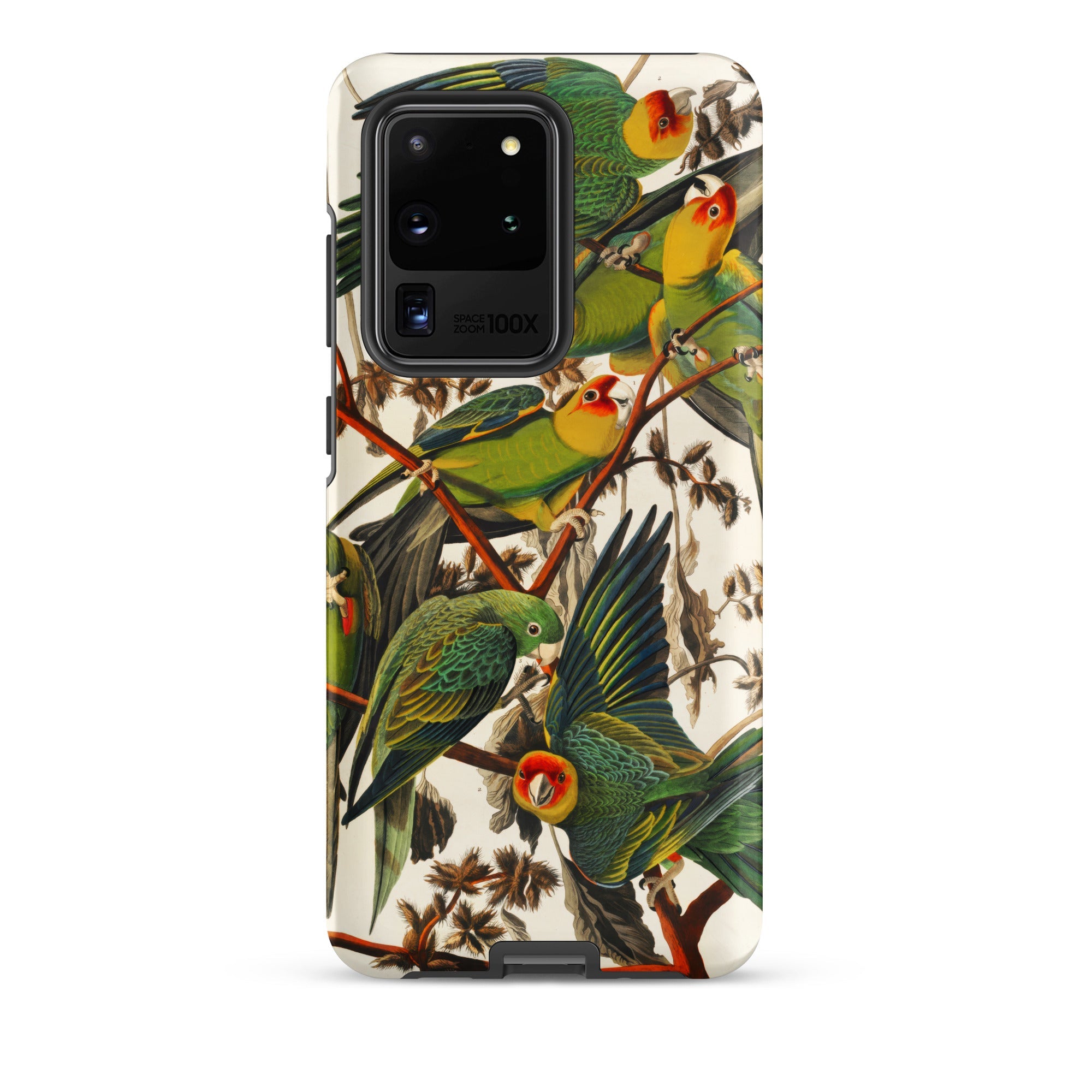 Carolina Parrots John James Audubon Samsung Case, Galaxy S20 Ultra / Matte, Phone Case Colorful Parrot Branch Design