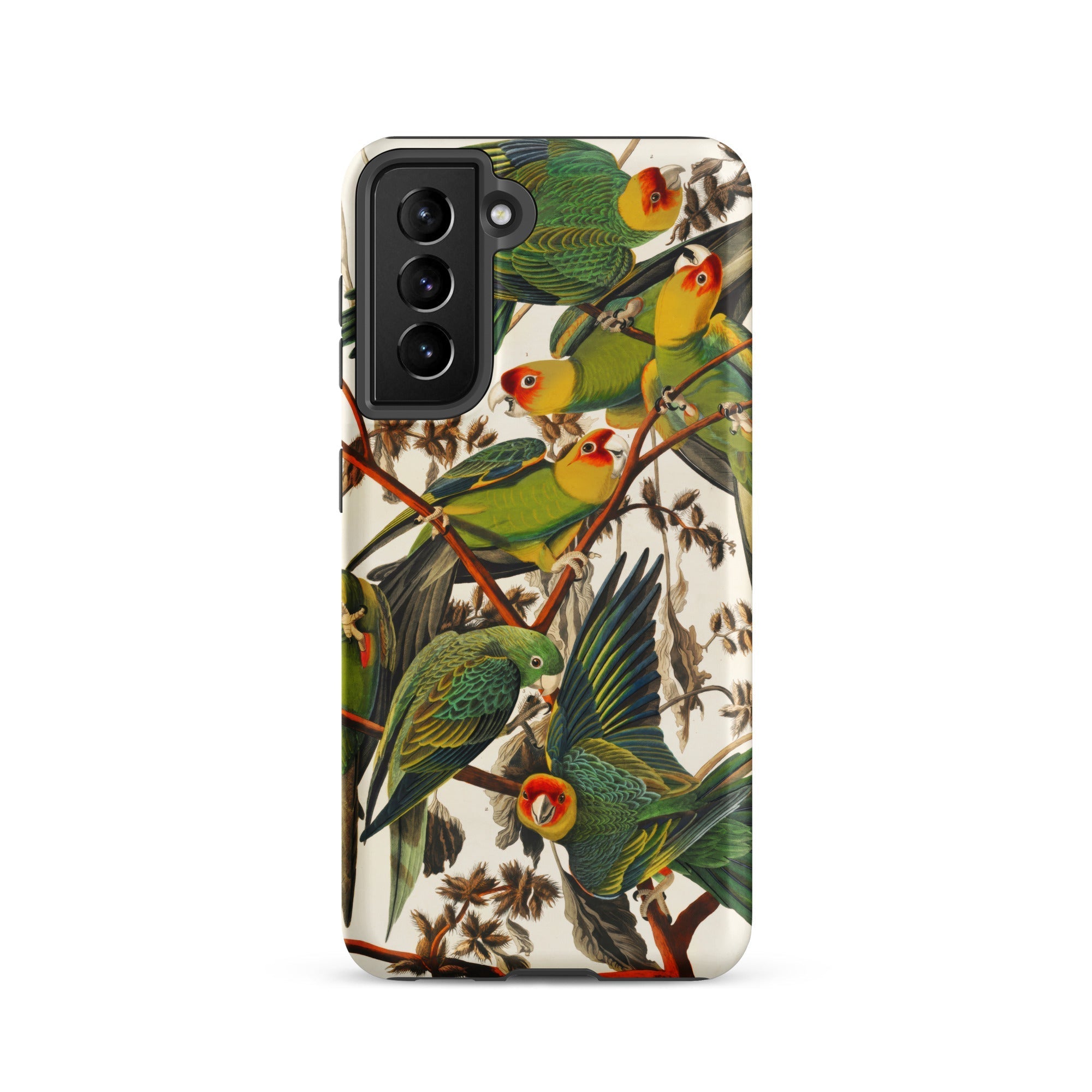 Carolina Parrots John James Audubon Samsung Case, Galaxy S21 / Matte, Smartphone Case Colorful Bird Branch Pattern