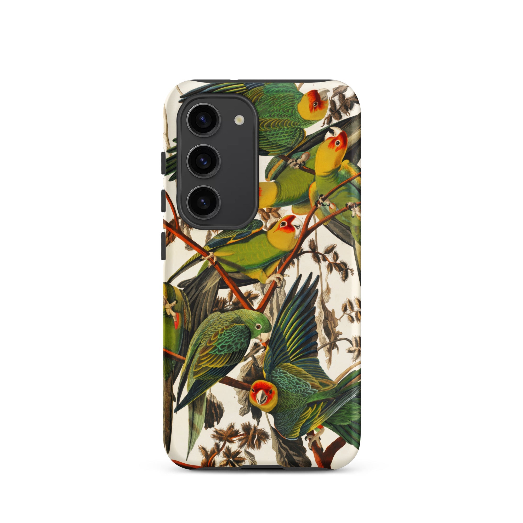 Carolina Parrots John James Audubon Samsung Case, Galaxy S23 / Matte, Phone Case Colorful Illustration Parrots Branches