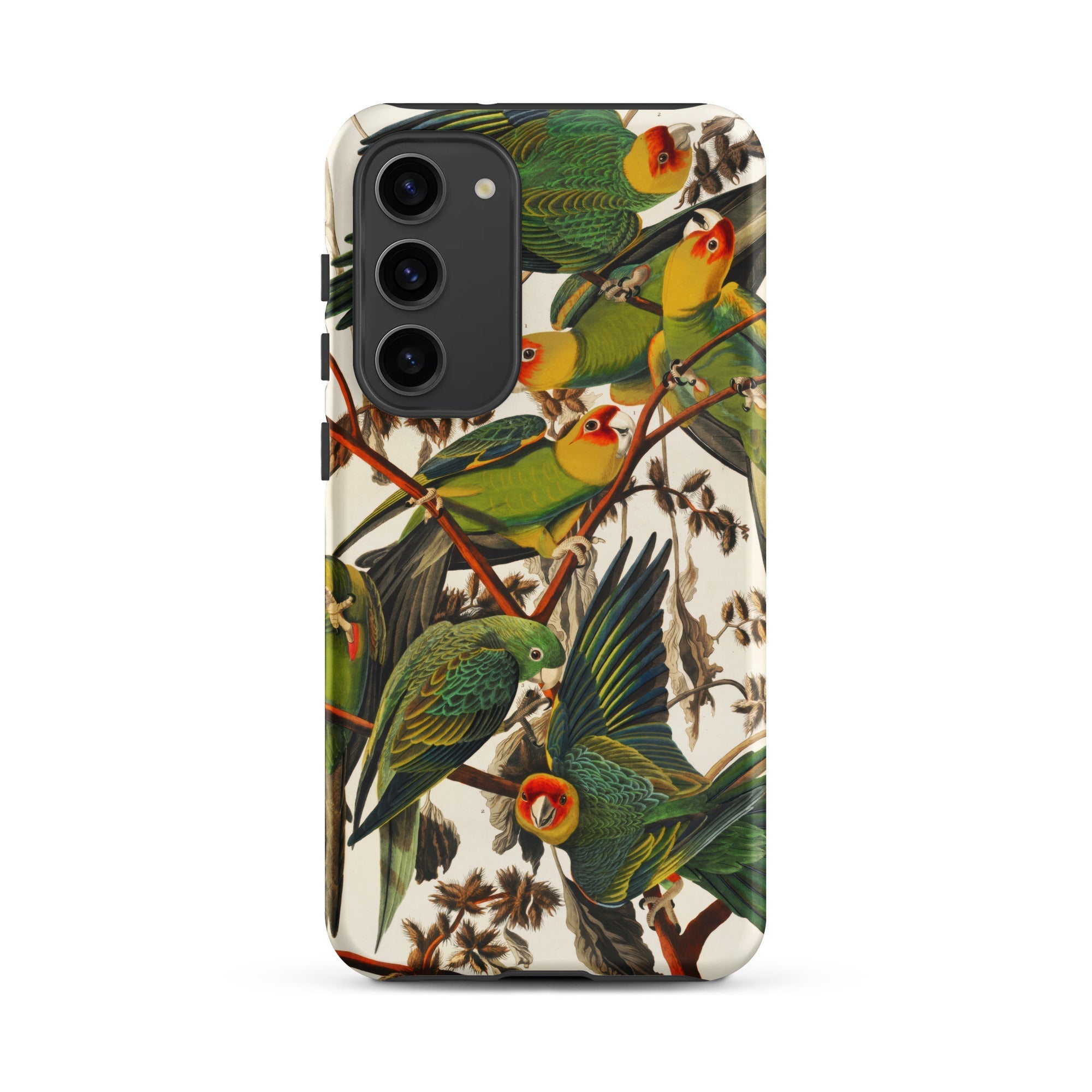 Carolina Parrots John James Audubon Samsung Case, Galaxy S23 Plus / Matte, Smartphone Case Vibrant Multi Colored Bird Pattern