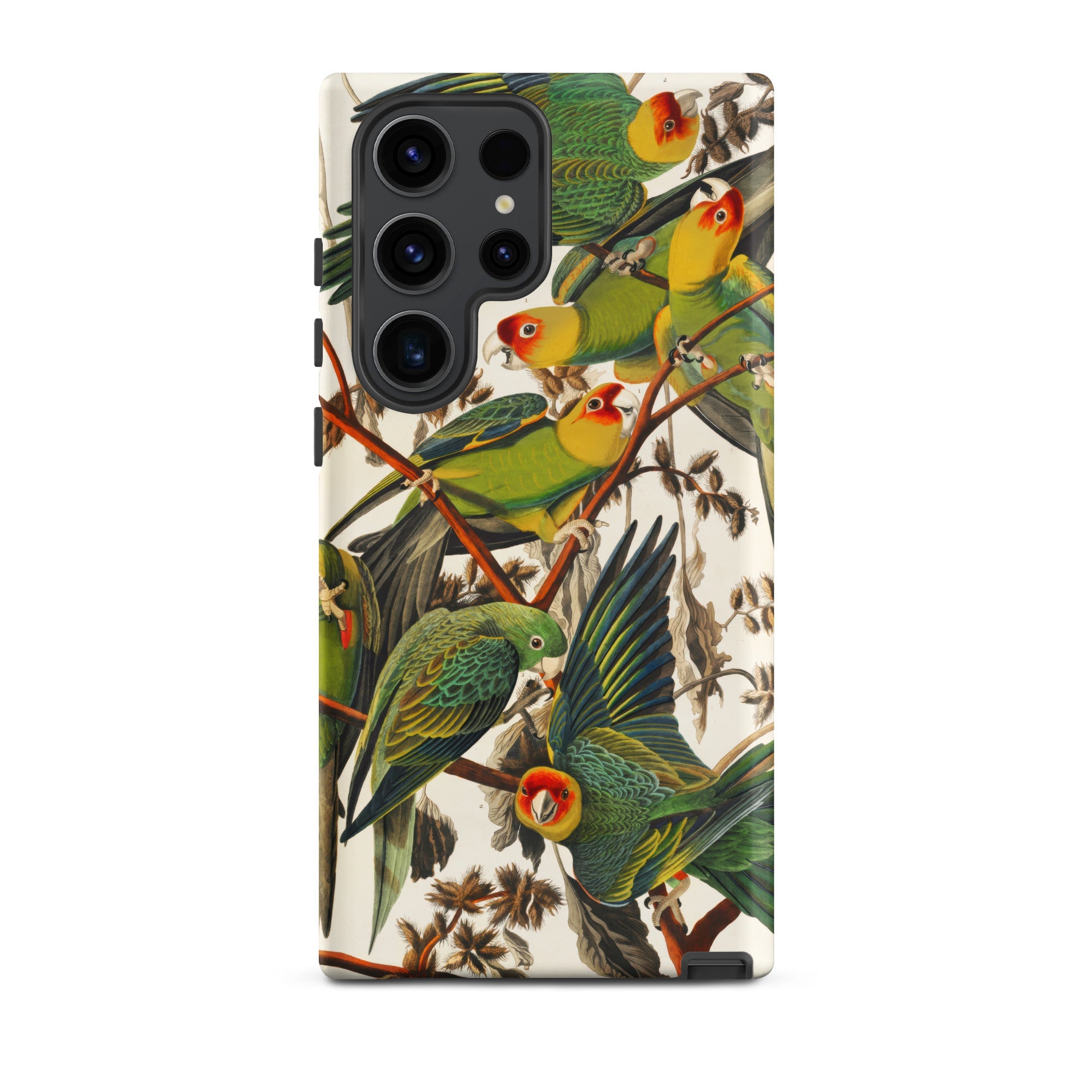 Carolina Parrots John James Audubon Samsung Case, Galaxy S23 Ultra / Matte, Smartphone Case Vibrant Bird Pattern