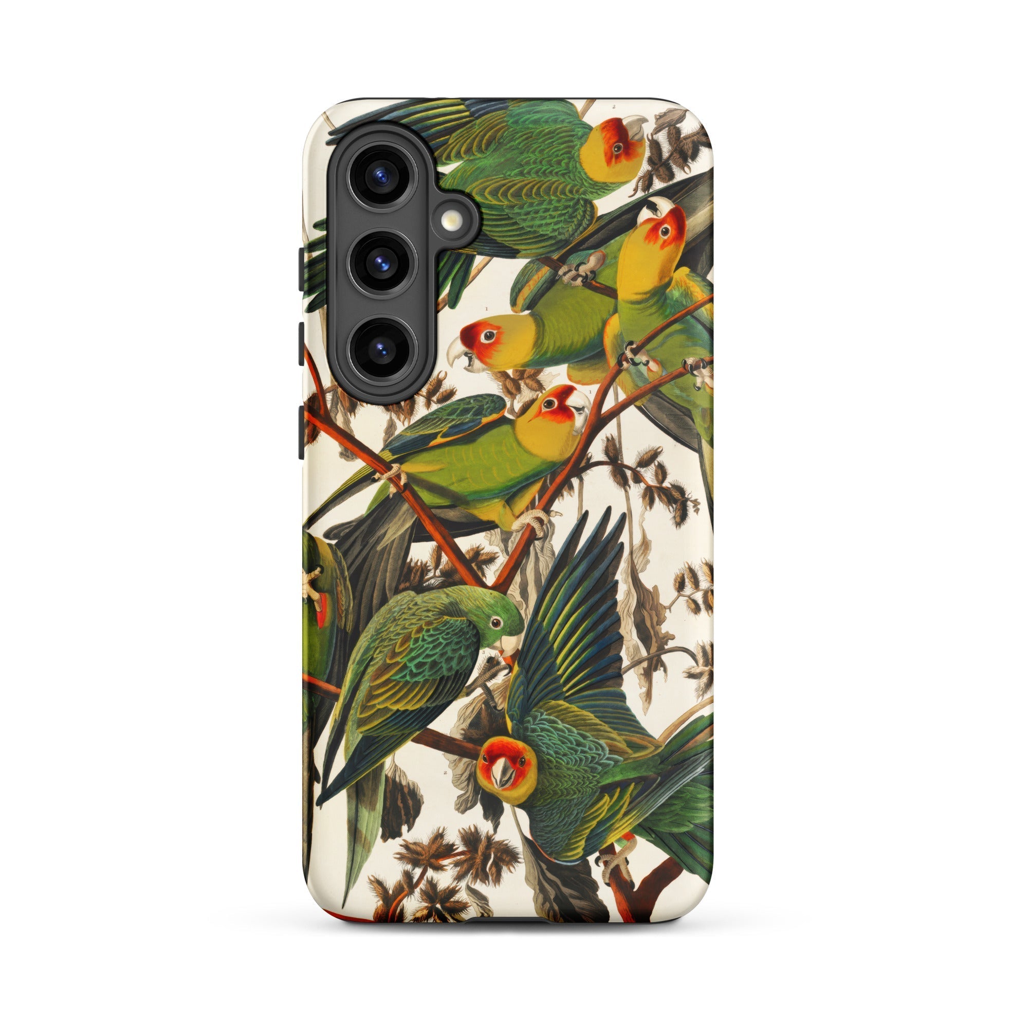 Carolina Parrots John James Audubon Samsung Case, Galaxy S24 Plus / Matte, White Smartphone Case Multiple Colorful Parrots Branches