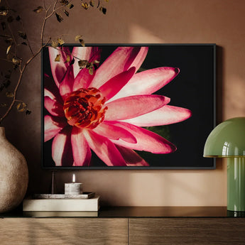 Casanova - Pink Lotus Flower Photography Art Print / Canvas Framed Photograph Vibrant Pink Lotus Flower Delicate Petals Red Flower, Art,