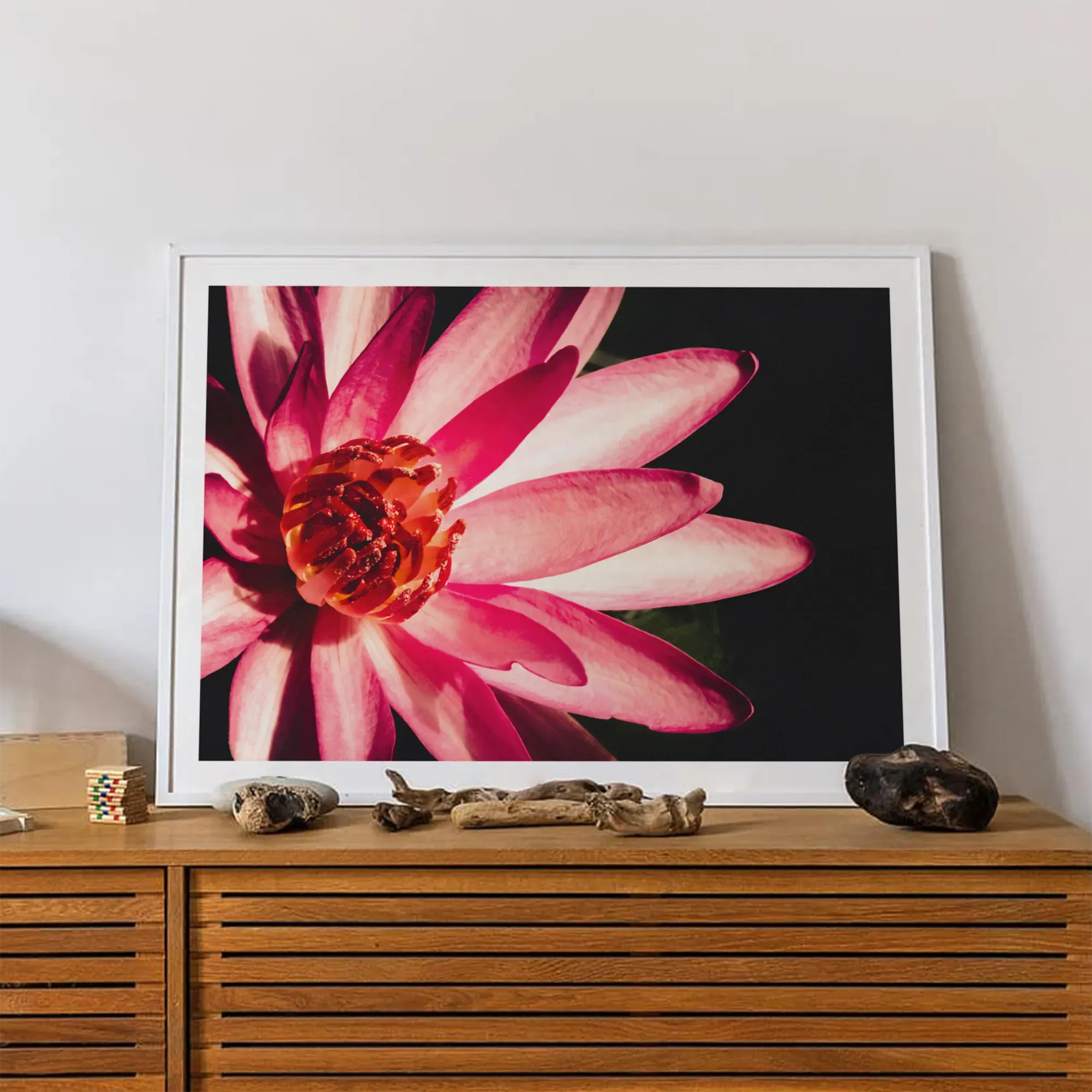 Casanova - Pink Red Lotus Flower Photography Art Print - Posters Prints & Visual Artwork - Aesthetic Art