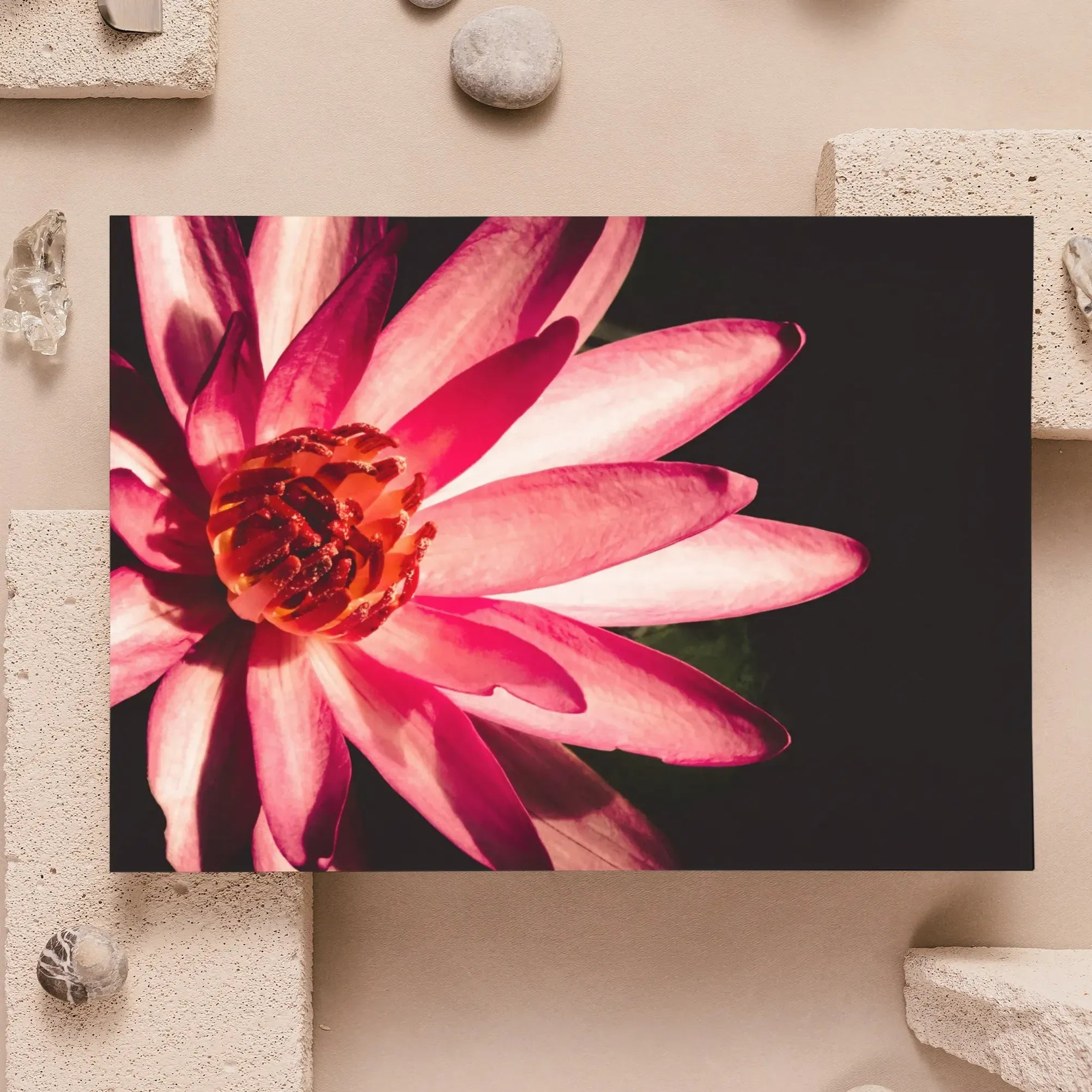 Casanova - Pink Red Lotus Flower Photography Greeting Card - Greeting & Note Cards - Aesthetic Art