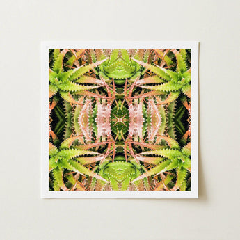 Center Stage - Trippy Cactus Art Print / Canvas Square-framed Symmetrical Kaleidoscopic Pattern Green Pinkish Succulent, Botanical