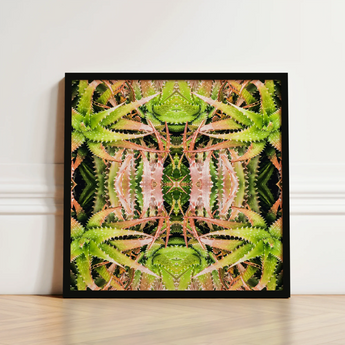 Framed Square Artwork Symmetrical Kaleidoscopic Pattern Green Pinkish Trippy Cactus Succulent, Art, Botanical Surrealism Meets
