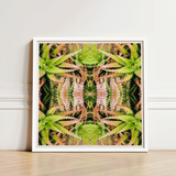 White-framed Square Art Print Symmetrical Kaleidoscopic Design Green Trippy Cactus Succulent, Botanical Surrealism Meets