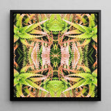 Centre Stage - Trippy Cactus Art Print / Canvas, Trippy Cactus Succulent, Cactus Succulent Art, Botanical Surrealism Meets