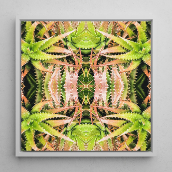 Centre Stage - Trippy Cactus Art Print / Canvas, Trippy Cactus Succulent, Cactus Succulent Art, Botanical Surrealism Meets