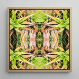 Centre Stage - Trippy Cactus Art Print / Canvas, Trippy Cactus Succulent, Cactus Succulent Art, Botanical Surrealism Meets
