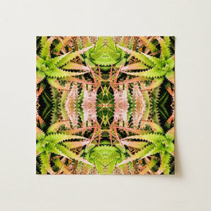 Center Stage - Trippy Cactus Art Print / Canvas Vibrant Symmetrical Artwork Mirrored Aloe Vera Leaves Shades Trippy Cactus Succulent,