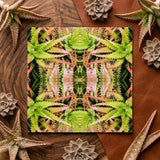 Center Stage - Trippy Cactus Art Print / Canvas Vibrant Symmetrical Kaleidoscopic Print Green Pink Aloe Vera Trippy Cactus Succulent,