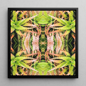 Centre Stage - Trippy Cactus Art Framed Canvas, 12x12’’ / 31x31cm / Black Floating Frame, Symmetrical Kaleidoscopic Pattern Green Pink