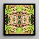 Centre Stage - Trippy Cactus Art Framed Canvas, 12x12’’ / 31x31cm / Black Floating Frame, Symmetrical Kaleidoscopic Pattern Green Pink